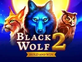 Black Wolf 2 screenshot